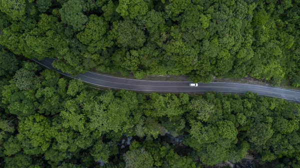 stock image Electric car and EV electrical energy for environment, EV car on forest road with earth planet going through forest, Ecosystem ecology healthy environment, Electric car with nature, Save earth energy.