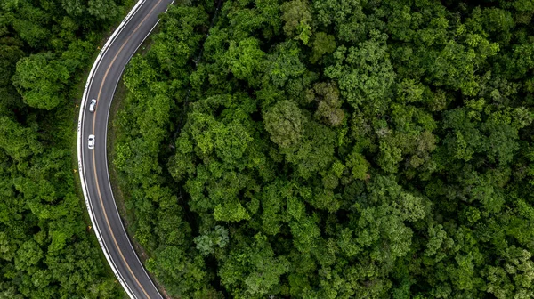 Eco Car Forest Road Earth Planet Going Forest Ecosystem Ecology — Stock Photo, Image