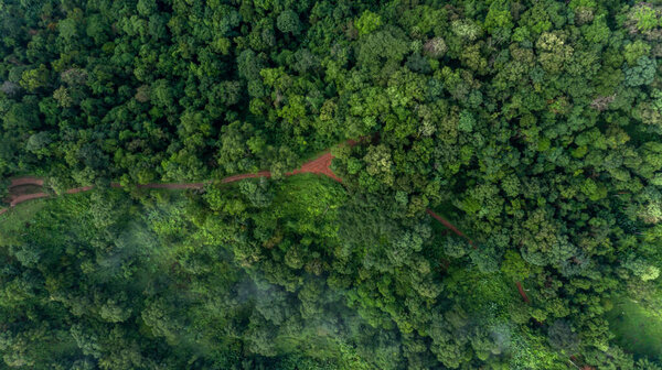 Aerial top view rural road in the forest, dirt road or mud road and rain forest, Aerial view road in nature, Ecosystem and healthy environment