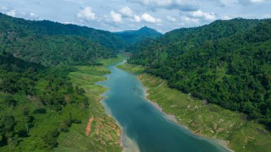 Gökyüzü manzaralı tropikal yeşil orman ve nehir, arka planda dağlar, nehirden ve ormandan yeşil orman manzarası.
