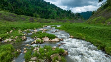 Gökyüzü manzaralı tropikal yeşil orman ve nehir, arka planda dağlar, nehirden ve ormandan yeşil orman manzarası.