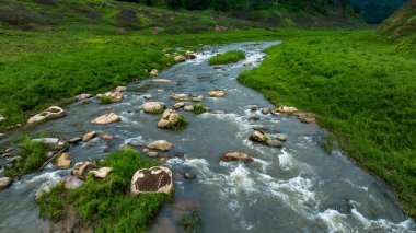 Gökyüzü manzaralı tropikal yeşil orman ve nehir, arka planda dağlar, nehirden ve ormandan yeşil orman manzarası.