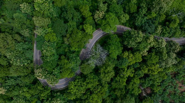 stock image Aerial top view of road in green tree forest, Top view from drone of rural road, mountains, forest. Beautiful landscape with roadway, Aerial view of road in the middle of the forest, Road curve on mountain.