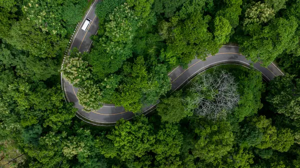 Luftaufnahme Der Straße Grünen Baumwald Draufsicht Von Der Drohne Der Stockbild