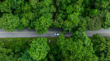 Yeşil ağaç ormanlarındaki hava manzaralı yol, kırsal yol, dağlar ve ormanın insansız hava aracı manzaralı. Yol manzarası, ormanın ortasındaki yol manzarası, dağdaki yol kıvrımları..