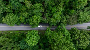 Yeşil ağaç ormanlarındaki hava manzaralı yol, kırsal yol, dağlar ve ormanın insansız hava aracı manzaralı. Yol manzarası, ormanın ortasındaki yol manzarası, dağdaki yol kıvrımları..