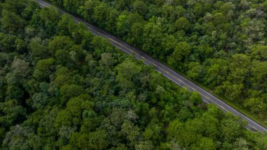 Orman yolu üzerinde asfalt yol ve orman, dağın ortasındaki yol, yeşil orman ve dağdan geçen kırsal yol..