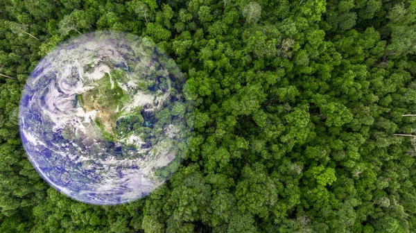空中俯瞰亚洲热带雨林绿林绿林与地球仪 热带丛林绿林地球与您手中 拯救地球 环境概念 图库图片