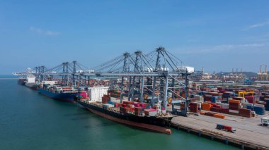 Gastrointestinal konteynır taşıyan kargo gemisi.