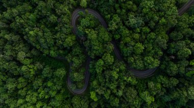 Yeşil ormandaki hava manzaralı asfalt yol, dağ yeşil ormanındaki eğri asfalt yol, yeşil ormanı ve dağı geçen kırsal yol..