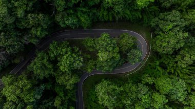 Yeşil ormandaki hava manzaralı asfalt yol, dağ yeşil ormanındaki eğri asfalt yol, yeşil ormanı ve dağı geçen kırsal yol..