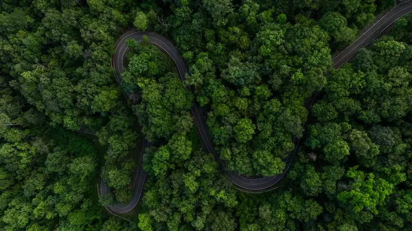 stock image Aerial view asphalt road on green forest, Curve asphalt road on mountain green forest, Countryside road passing green forrest and mountain.