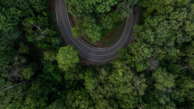 Hava manzaralı asfalt yol eğrisi yeşil orman ve dağdan geçiyor, orman yeşil ormanın ortasında yol kıvrımı, ormandaki kıvrımlı yol macera gezisi..