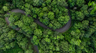 Yeşil ormandaki hava manzaralı asfalt yol, dağ yeşil ormanındaki eğri asfalt yol, yeşil ormanı ve dağı geçen kırsal yol..