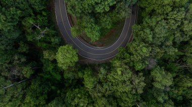 Hava manzaralı asfalt yol eğrisi yeşil orman ve dağdan geçiyor, orman yeşil ormanın ortasında yol kıvrımı, ormandaki kıvrımlı yol macera gezisi..