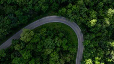 Yeşil ormandaki hava manzaralı asfalt yol, dağ yeşil ormanındaki eğri asfalt yol, yeşil ormanı ve dağı geçen kırsal yol..