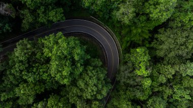 Yeşil ormandaki hava manzaralı asfalt yol, dağ yeşil ormanındaki eğri asfalt yol, yeşil ormanı ve dağı geçen kırsal yol..