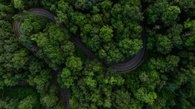 Yeşil ormandaki hava manzaralı asfalt yol, dağ yeşil ormanındaki eğri asfalt yol, yeşil ormanı ve dağı geçen kırsal yol..