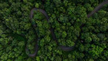 Yeşil ormandaki hava manzaralı asfalt yol, dağ yeşil ormanındaki eğri asfalt yol, yeşil ormanı ve dağı geçen kırsal yol..
