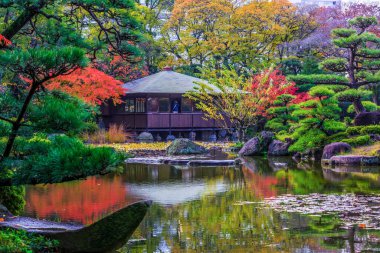Sonbaharda güzel sonbahar yapraklarıyla Keitakuen Bahçesi, Tennoji, Osaka, Japonya, Japonya, Japonya, Japonya, Tennoji parkındaki Keitakuen bahçesi, Osaka, Japonya.