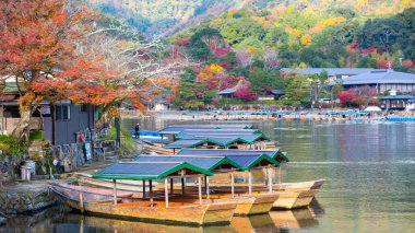 Hozugawa Nehri 'ndeki tekne gezisi, Hozu nehri, Arashiyama, Kyoto, Japonya kıyısı boyunca sonbahar manzarasının tadını çıkarmaları için turistler için tekne..