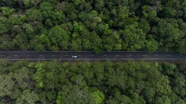 Orta yeşil orman yolunda hava manzaralı EV araba ve yeşil ağaç ormanı, elektrikli araç eko doğal orman ağacı çevre dostu yol, sürdürülebilir enerji taşıma aracı dünyayı kurtarır.