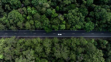 Orta yeşil orman yolu ve yeşil ağaç ormanında beyaz EV araba, elektrikli araç eko doğal orman ağacı çevre dostu yol, sürdürülebilir enerji taşıma aracı dünyayı kurtarır.