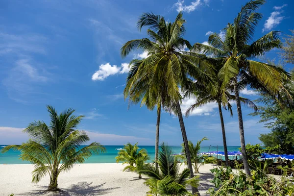 Tayland 'ın Phuket adasındaki güzel Bangtao plajı.