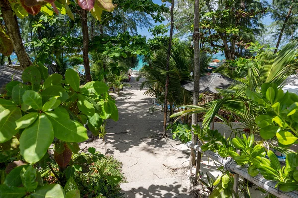 Tayland 'ın Phuket adasındaki güzel Bangtao plajı.
