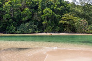 Tayland 'ın Phuket adasındaki güzel Bangtao plajı.