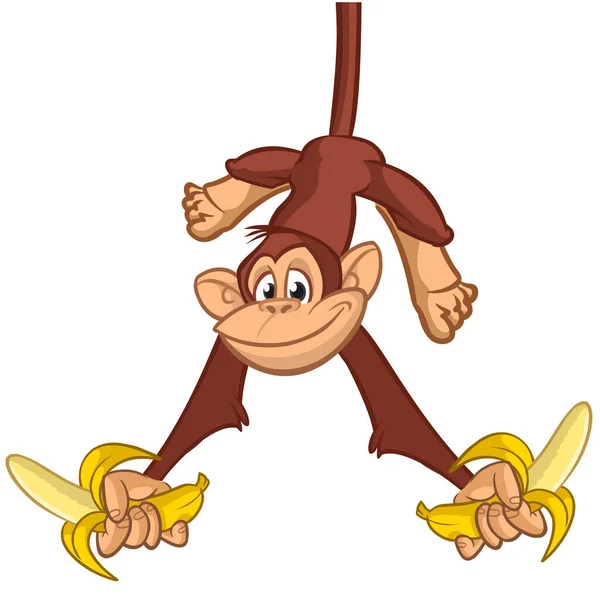 Foto De Stock Antiga Ilustração Do Macaco-Prego, Royalty-Free