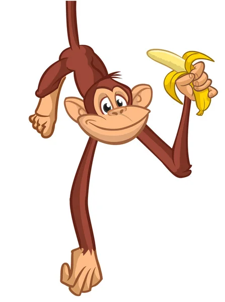Cartoon Singe Chimpanzé Tenant Mangeant Banane Illustration Vectorielle Dessin Singe — Image vectorielle