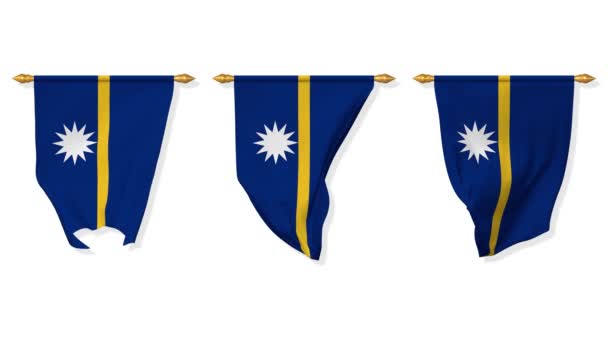 Nauru Wall Hanging Flag Waving Wind Rendering Chroma Key Luma — Video Stock