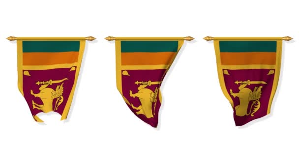 Sri Lanka Wall Hanging Flag Waving Wind Rendering Luma Mate – stockvideo
