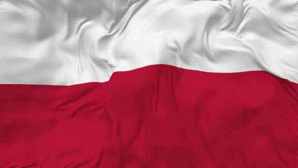 Poland Flag Seamless Looping Background Looped Bump Texture Cloth Waving — Stockvideo