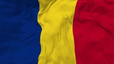 Romania Flag Seamless Looping Background, Looped Bump Texture Cloth Waving Slow Motion, 3D Rendering