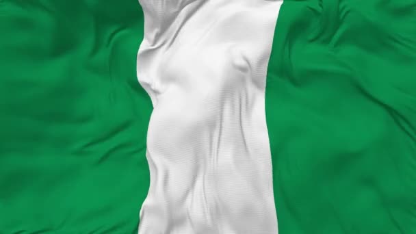 Nigeria Flag Seamless Looping Background Looped Bump Texture Cloth Waving — Stok video