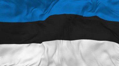 Estonia Flag Seamless Looping Background, Looped Bump Texture Cloth Waving Slow Motion, 3D Rendering