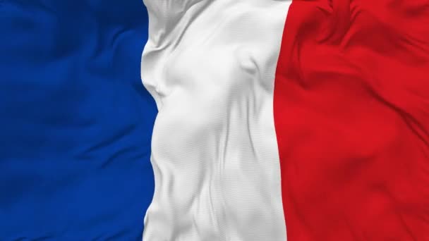 France Flag Seamless Looping Background Looped Bump Texture Cloth Waving — стокове відео