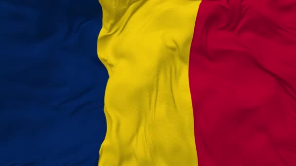 Chad Flag Seamless Looping Background Looped Bump Texture Cloth Waving — Stockvideo