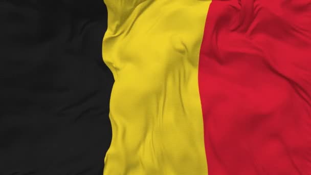 ベルギー国旗シームレスループ背景 ループ状のバンプテクスチャクロス波スローモーション 3Dレンダリング — ストック動画