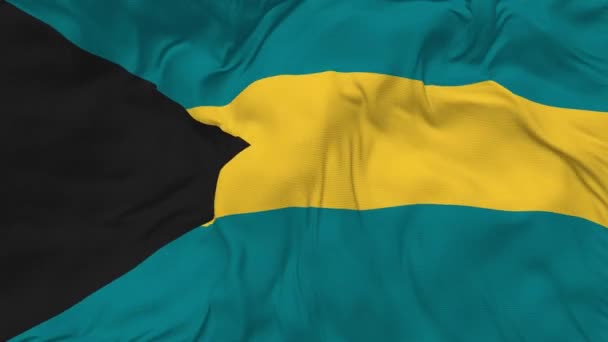 Fundo Loop Sem Emenda Bandeira Bahamas Pano Textura Colisão Retorcido — Vídeo de Stock