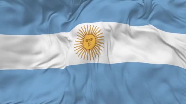 アルゼンチン国旗シームレスループ背景 ループ状のバンプテクスチャクロス波スローモーション 3Dレンダリング — ストック動画