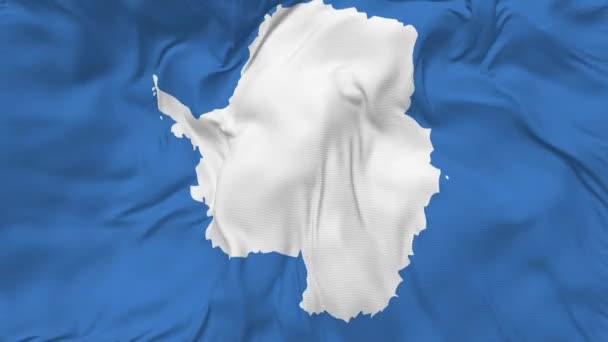 Antarctica Flag Seamless Looping Background Looped Bump Texture Cloth Waving — Stockvideo