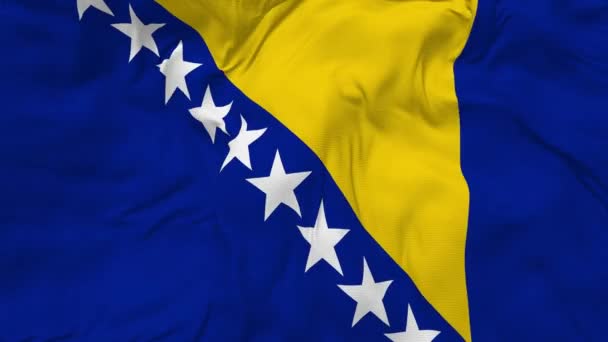 Σημαία Βοσνίας Και Ερζεγοβίνης Χωρίς Ραφή Φόντο Αργαλειοί Looped Bump — Αρχείο Βίντεο
