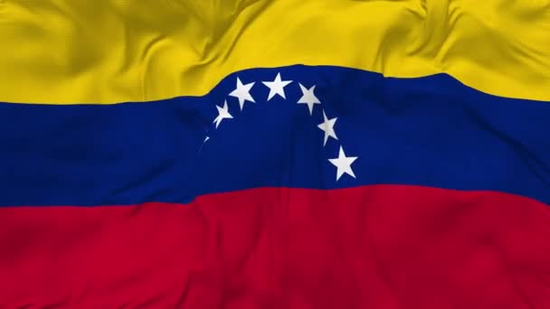 Bolivarische Republik Venezuela Flagge Nahtlose Schleife Hintergrund Schleife Bump Textur — Stockvideo
