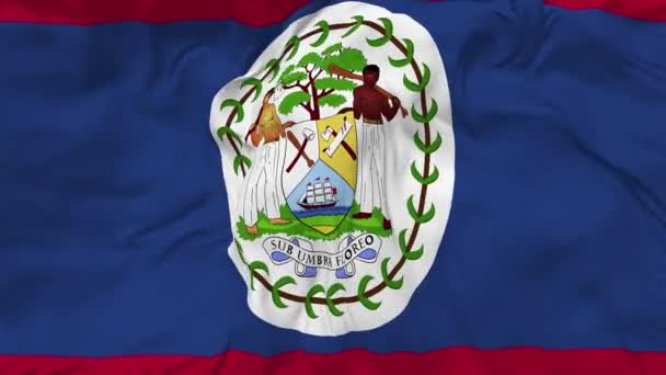Belize Flag Seamless Looping Background Looped Bump Texture Cloth Waving — ストック動画
