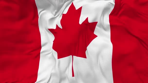 Canada Flag Seamless Looping Background Looped Bump Texture Cloth Waving — ストック動画