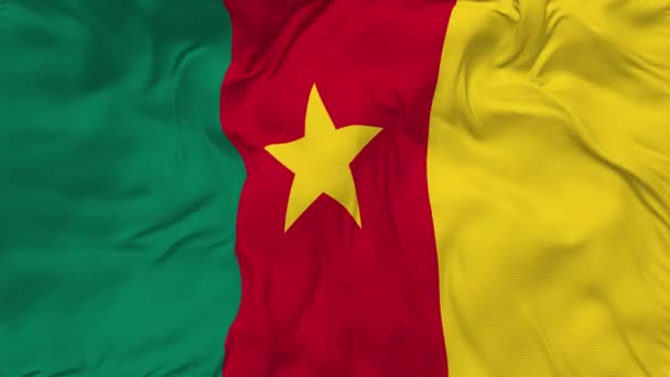 Cameroon Flag Seamless Looping Background Looped Bump Texture Cloth Waving — Video