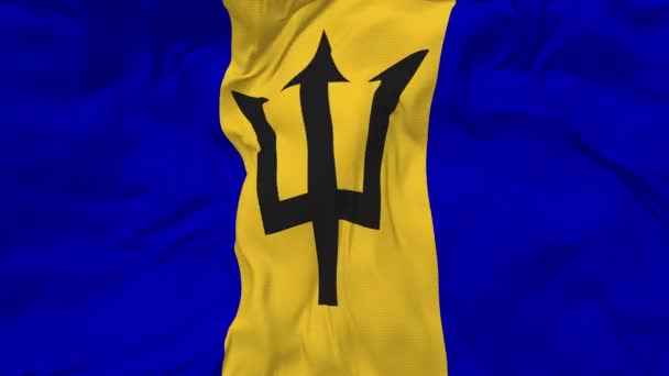 Barbados Flag Seamless Looping Background Looped Bump Texture Cloth Waving — Vídeo de Stock